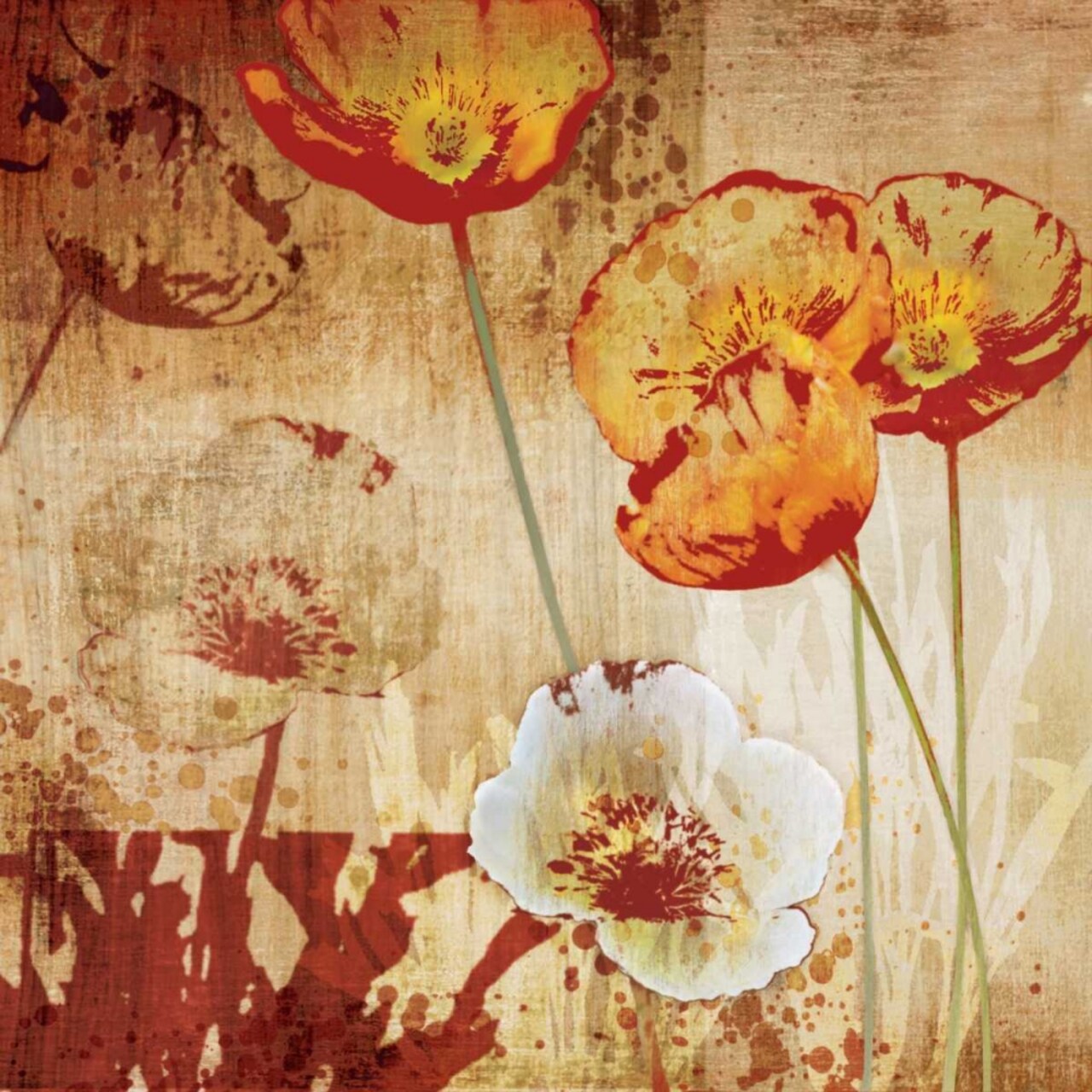Poppy Heat I Poster Print by Tandi Venter - Item # VARPDX12892